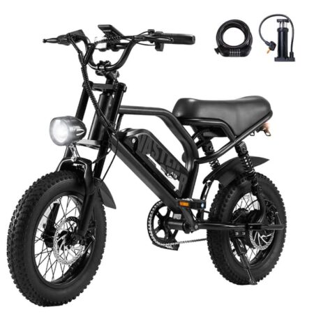 AVDL A13 Offroad Elcykel 250W Motor, 36V 12,8Ah Batteri, 16" × 3,0" Dæk, Dobbelt Affjedring, Elektrisk Cykel til Voksne