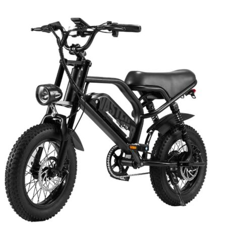 AVDL A13 elcykel, 16x3,0 tommer dæk, 36V12,8Ah batteri, skivebremser for og bag, LED-skærm-sort