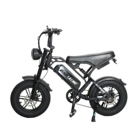 BAOLUJIE F2 Elektrisk Cykel til Voksne, Motor 500 W, Batteri 48 V 13 Ah, Terræn Dæk 16 Tommer