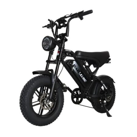 BAOLUJIE F2 Voksen Elcykel 500W Motor E-Mountain Ebike 48V13AH Batteri E-Cykel 16 Tommer Terrain dæk Herre Elcykel