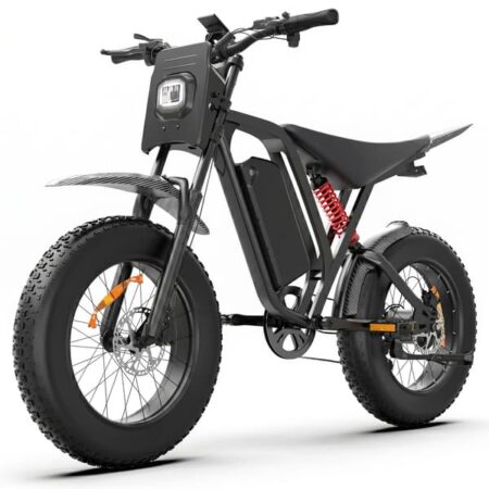 BLUVALL R700 Elektrisk Fatbike, 52V 25Ah Aftageligt Batteri, 20", Sort
