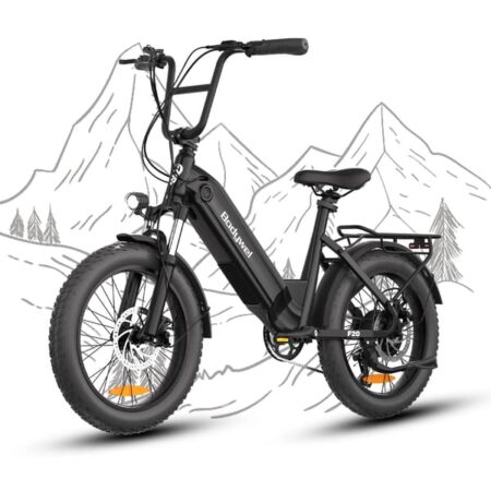 Bodywel F20 Voksen Elcykel 500W Motor Terræng E-Cykel 48V 15Ah Batteri Elcykel 20-Tommers Dæk E-Cykel