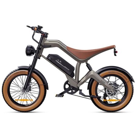 F-WHEEL M20 Elcykel 250W Motor, 48V 18,2Ah Batteri, 40-60 km Rækkevidde, 20*4,0 tommer Dæk, APP Let Offroad Elcykel