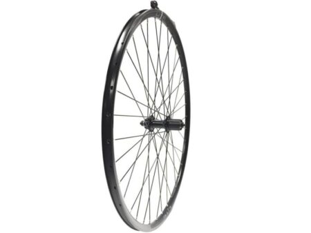 Lite XCD Disc Centerlock 8/9/10-Speed Baghjul