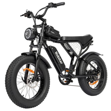 Ridstar Q20 Min Elcykel Til Voksne 1000W Motor 48V 15AH Aftageligt batteri Fat Tire Dirt Bike