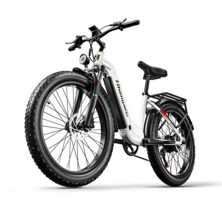 Shengmilo MX06 Voksen Elektrisk Mountainbike 48V Off-Road Bike 1000W Motor 3.0 Fat Tire Bike 17.5AH 840WH Samsung Batteri Elcykel, Hvid