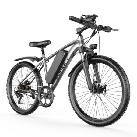 TOOFLY G73 250W Electric Bike, 26", 48V 15Ah Removable Battery, Silver