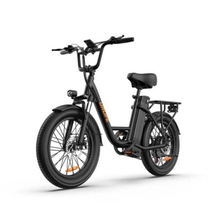 URLIFE E20 Elcykel Til Voksne 250W Motor Elcykel 48V 13AH Batteri 20" Fat Tire Terrængående Elcykel
