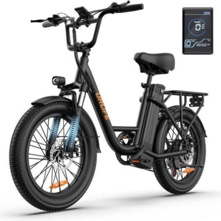 URLIFE E20 elcykel 500 W 48 V 13 Ah aftageligt batteri