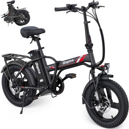 Vivi Gopina Electric Bike - Black / Step-Over