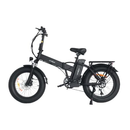 WINDGOO F21 Pro - Foldable 20" Fat Tire Electric Bike, 48V 12.5Ah Battery, Black